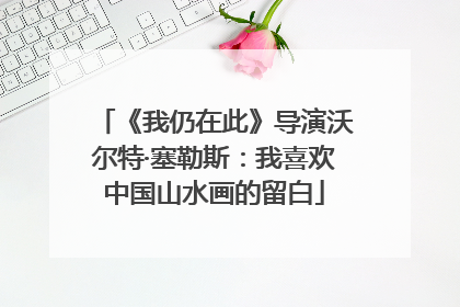 《我仍在此》导演沃尔特·塞勒斯：我喜欢中国山水画的留白