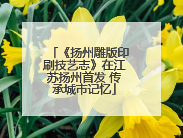 《扬州雕版印刷技艺志》在江苏扬州首发 传承城市记忆