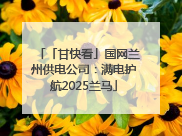 「甘快看」国网兰州供电公司：满电护航2025兰马