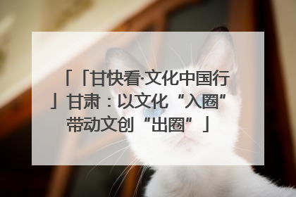 「甘快看·文化中国行」甘肃：以文化“入圈”带动文创“出圈”
