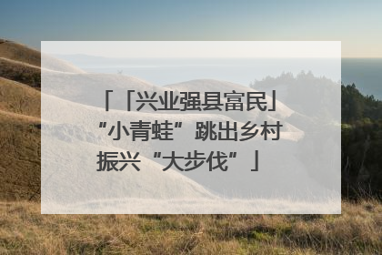 「兴业强县富民」“小青蛙”跳出乡村振兴“大步伐”