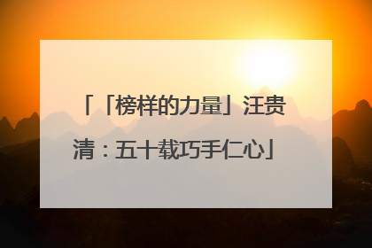 「榜样的力量」汪贵清：五十载巧手仁心