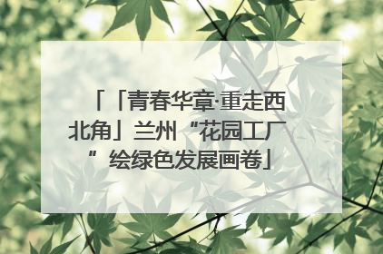 「青春华章·重走西北角」兰州“花园工厂”绘绿色发展画卷