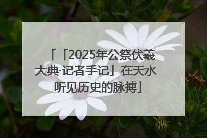 「2025年公祭伏羲大典·记者手记」在天水 听见历史的脉搏