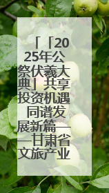 「2025年公祭伏羲大典」共享投资机遇 同谱发展新篇——甘肃省文旅产业链招商引资推介会侧记