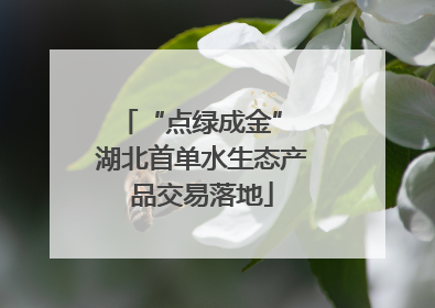 “点绿成金” 湖北首单水生态产品交易落地