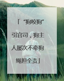“狗咬狗”引官司，狗主人屡次不牵狗绳担全责