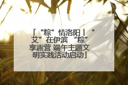 “粽”情洛阳丨“艾”在伊滨 “粽”享露营 端午主题文明实践活动启动