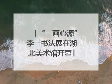 “一画心源”李一书法展在湖北美术馆开幕