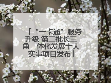 “一卡通”服务升级 第二批长三角一体化发展十大实事项目发布