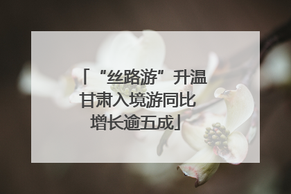 “丝路游”升温 甘肃入境游同比增长逾五成