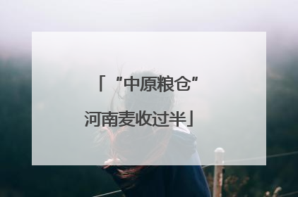 “中原粮仓”河南麦收过半