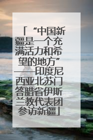 “中国新疆是一个充满活力和希望的地方”——印度尼西亚北苏门答腊省伊斯兰教代表团参访新疆