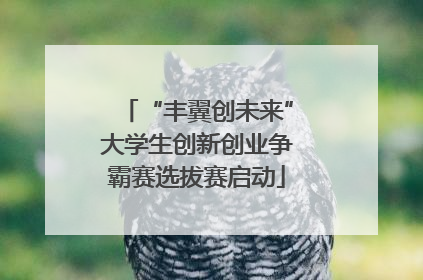 “丰翼创未来”大学生创新创业争霸赛选拔赛启动