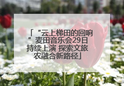 “云上梯田的回响”麦田音乐会29日持续上演 探索文旅农融合新路径