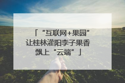 “互联网+果园”让桂林灌阳李子果香飘上“云端”