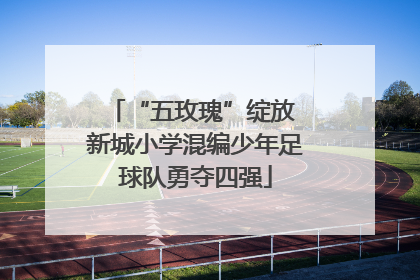 “五玫瑰”绽放 新城小学混编少年足球队勇夺四强