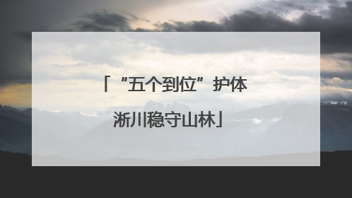“五个到位”护体 淅川稳守山林