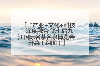 “产业+文化+科技”深度融合 第七届九江国际名茶名泉博览会开幕（组图）