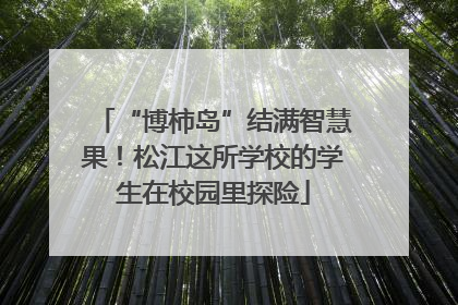 “博柿岛”结满智慧果！松江这所学校的学生在校园里探险