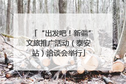 “出发吧！新疆”文旅推广活动（泰安站）洽谈会举行