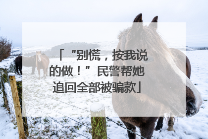 “别慌，按我说的做！”民警帮她追回全部被骗款