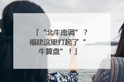 “北牛南调”？福建这里打起了“牛算盘”！