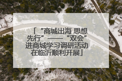 “商城出海 思想先行”——“双会”进商城学习调研活动在临沂顺利开展