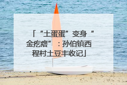 “土蛋蛋”变身“金疙瘩”：孙伯镇西程村土豆丰收记
