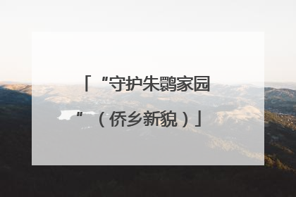 “守护朱鹮家园”（侨乡新貌）