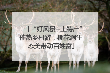 “好风景+土特产”催热乡村游，桃花涧生态美带动百姓富