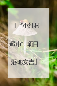 “小红村超市”项目落地安吉