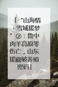 “山海情・雪域援梦”②：鲁中肉羊高原零伤亡，山东援藏破养殖密码