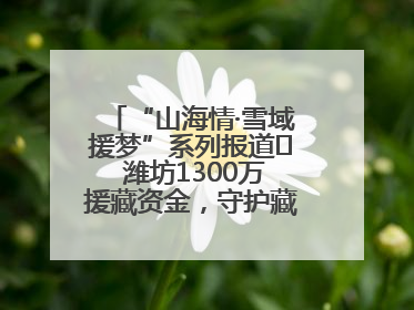 “山海情·雪域援梦”系列报道⑪ 潍坊1300万援藏资金，守护藏区群众健康“最后一公里”
