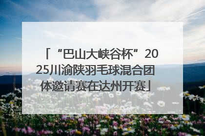 “巴山大峡谷杯”2025川渝陕羽毛球混合团体邀请赛在达州开赛