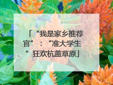 “我是家乡推荐官”：“准大学生”狂欢杭盖草原