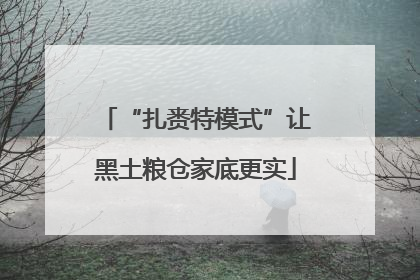 “扎赉特模式”让黑土粮仓家底更实