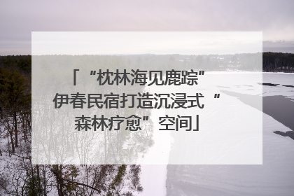 “枕林海见鹿踪” 伊春民宿打造沉浸式“森林疗愈”空间