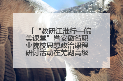 “教研江淮行—皖美课堂”暨安徽省职业院校思想政治课程研讨活动在芜湖高级职业技术学校举行