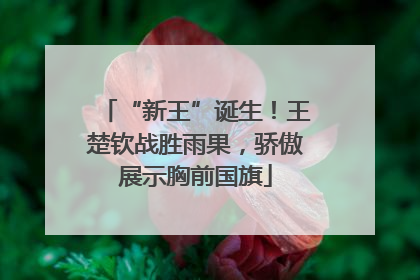 “新王”诞生！王楚钦战胜雨果，骄傲展示胸前国旗