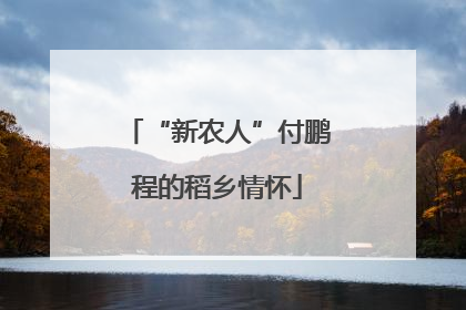 “新农人”付鹏程的稻乡情怀