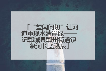 “望闻问切”让河道重现水清岸绿——记郓城县郓州街道镇级河长孟泓辰