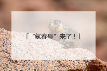 “氢春号”来了！