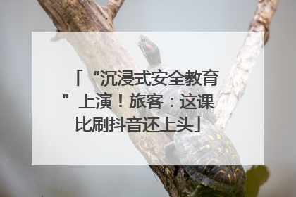 “沉浸式安全教育”上演！旅客：这课比刷抖音还上头