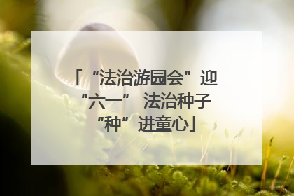 “法治游园会”迎“六一” 法治种子“种”进童心