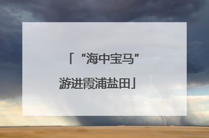 “海中宝马”游进霞浦盐田