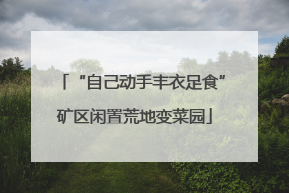 “自己动手丰衣足食”矿区闲置荒地变菜园