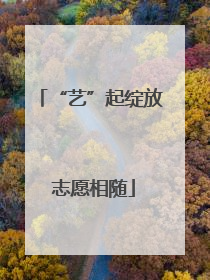 “艺”起绽放 志愿相随