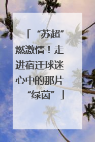 “苏超”燃激情！走进宿迁球迷心中的那片“绿茵”