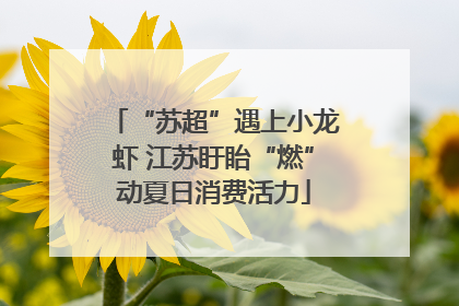 “苏超”遇上小龙虾 江苏盱眙“燃”动夏日消费活力